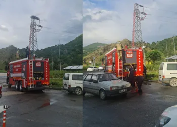 Leylek yuvasına yıldırım düştü
