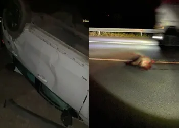 Domuza çarpan araç takla attı