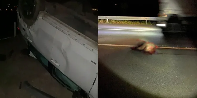 Domuza çarpan araç takla attı
