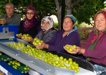 Hem zamandan hem iş gücünden kazanıyor