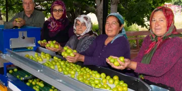 Hem zamandan hem iş gücünden kazanıyor