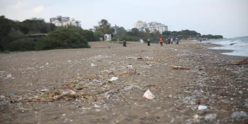 Mersin sahillerindeki insanlık ayıbı