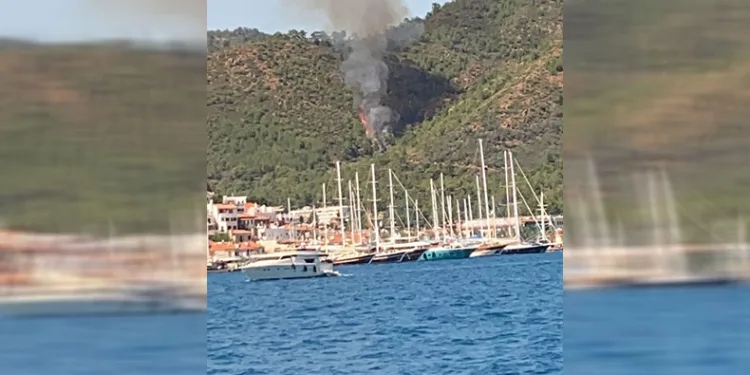 Marmaris’te orman yangını