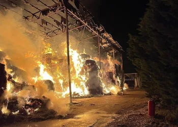 Karacabey’de korkutan çiftlik yangını