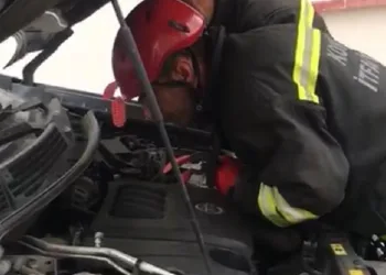 Otomobilin içinden 1,5 metrelik yılan çıktı