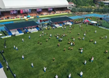 180 bin TL değerindeki altın kemer için er meydanına çıktılar