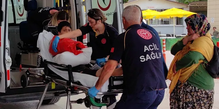 Bursa’da çocuk kolunu ot biçme makinesine sıkıştırdı