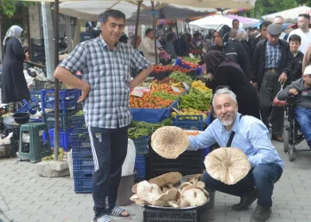 Yağmur yağışları sonrası mantar bereketi