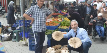 Yağmur yağışları sonrası mantar bereketi