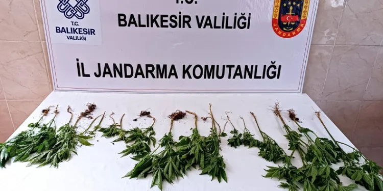 Balıkesir’de uyuşturucu operasyonu