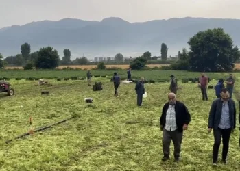 Bursa’da yıldırım düşmesi sonucu hayatını kaybetti