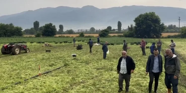 Bursa’da yıldırım düşmesi sonucu hayatını kaybetti