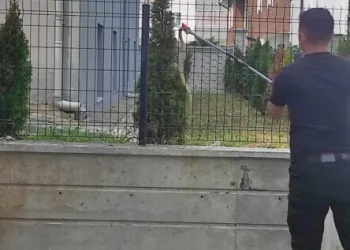 Tellere çıkan yılan, ekipleri harekete geçirdi