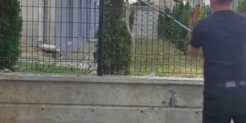 Tellere çıkan yılan, ekipleri harekete geçirdi