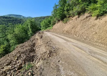 Çöken köy yoluyla 3 aydır kimse ilgilenmedi