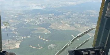 İzmir’de orman yangını