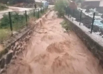Sel nedeniyle evleri su bastı