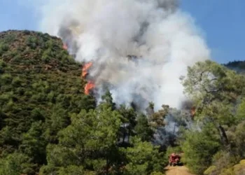 Marmaris’teki Orman yangınının sebebi şoke etti