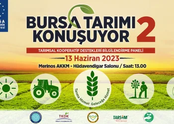 Bursa tarımı konuşuyor