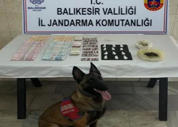 Jandarma narkotik köpeği Çömlek’ten kaçamadılar