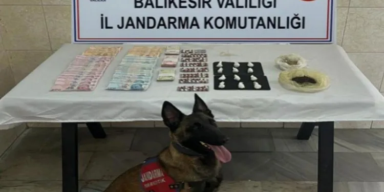 Jandarma narkotik köpeği Çömlek’ten kaçamadılar