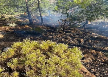 Fethiye’de çıkan orman yangını söndürüldü