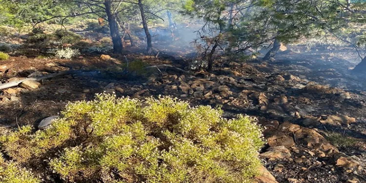 Fethiye’de çıkan orman yangını söndürüldü