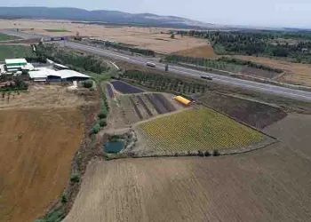 Bitki sektöründe 14 ülkeye ihracat yapıyor
