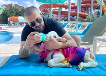 Bayram öncesi kuzusuyla tatil keyfi yaptı