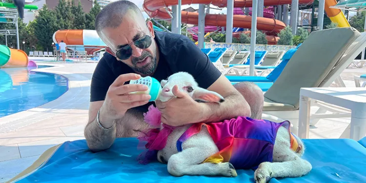 Bayram öncesi kuzusuyla tatil keyfi yaptı