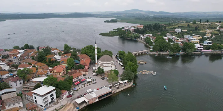 70 yıl sonra bir ilk, Gölyazı’ya yüzerek getirildi