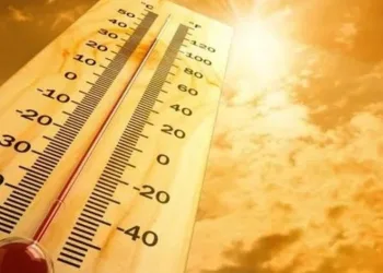Aşırı sıcak hava dalgası: 8 kişi öldü