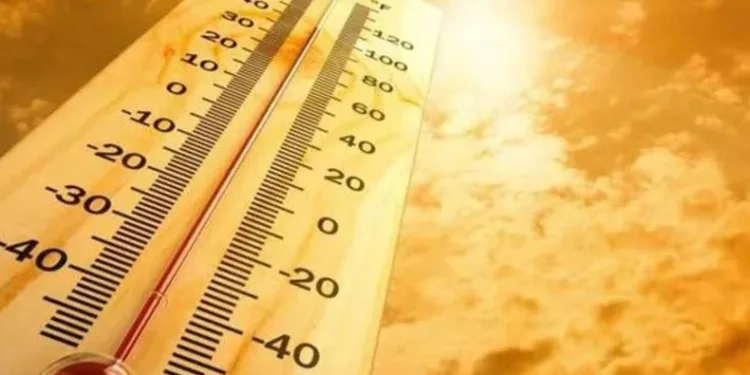 Aşırı sıcak hava dalgası: 8 kişi öldü