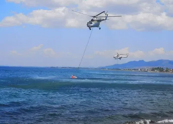 İzmir Dikili’de yangın