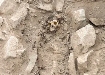 3 bin yıldan daha eski bir mumya