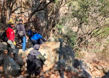 45 torbadan insan uzuvları çıktı