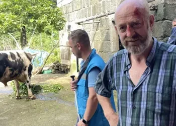 Kurbanlık boğa sahibini yaraladı