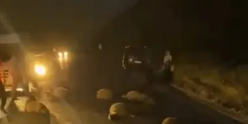 Taksiler koyun sürüsüne daldı