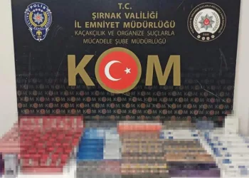Asayiş ve kaçakçılık operasyonu
