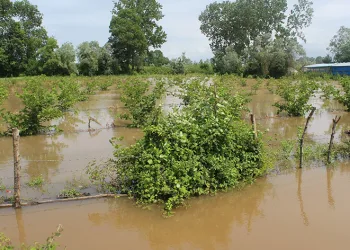 Samsun’da seli önlemek için talepler