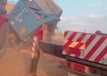 Römork devrildi, buğday tarlaya savruldu