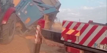 Römork devrildi, buğday tarlaya savruldu