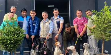 Av köpeklerine kuduz aşısı uygulaması