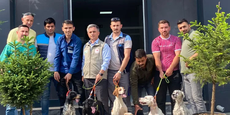 Av köpeklerine kuduz aşısı uygulaması