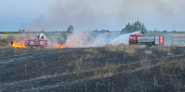20 dönüm buğday küle döndü