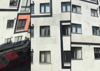 Kağıthane’de toplu arı paniği