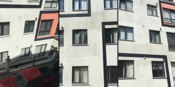 Kağıthane’de toplu arı paniği