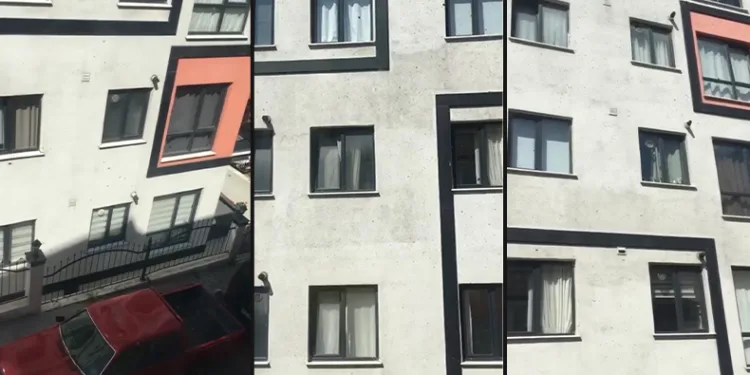Kağıthane’de toplu arı paniği