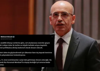 “Ülkemize dış kaynak temini çalışmalarını hızlandırıyoruz.”