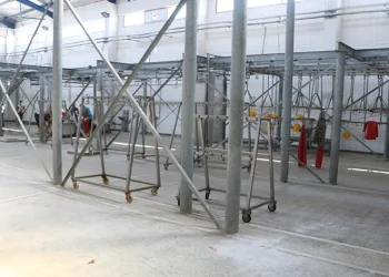 Enkaz kentte mezbahaneler boş kaldı